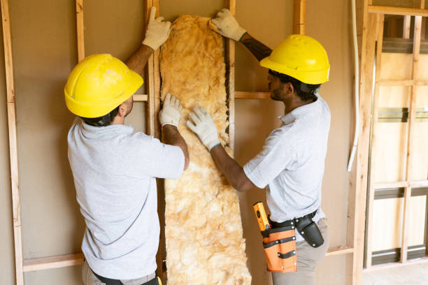 Best Wall Insulation Contractor  in Murray, UT