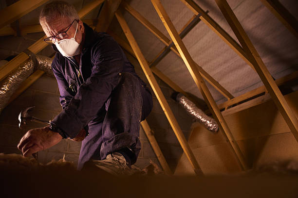 Best Professional Insulation Contractor  in Murray, UT